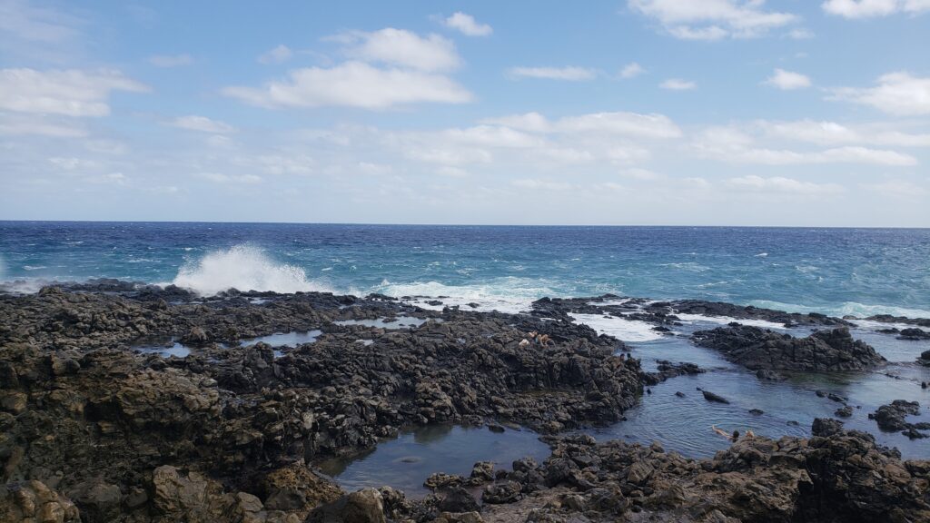 Off the Beaten Path: Makapu'u Tide Pools - The Oahu Insider